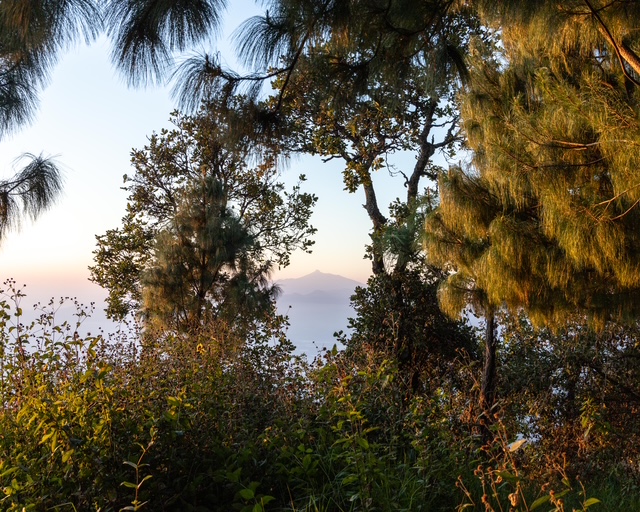 TEFORMEX 18